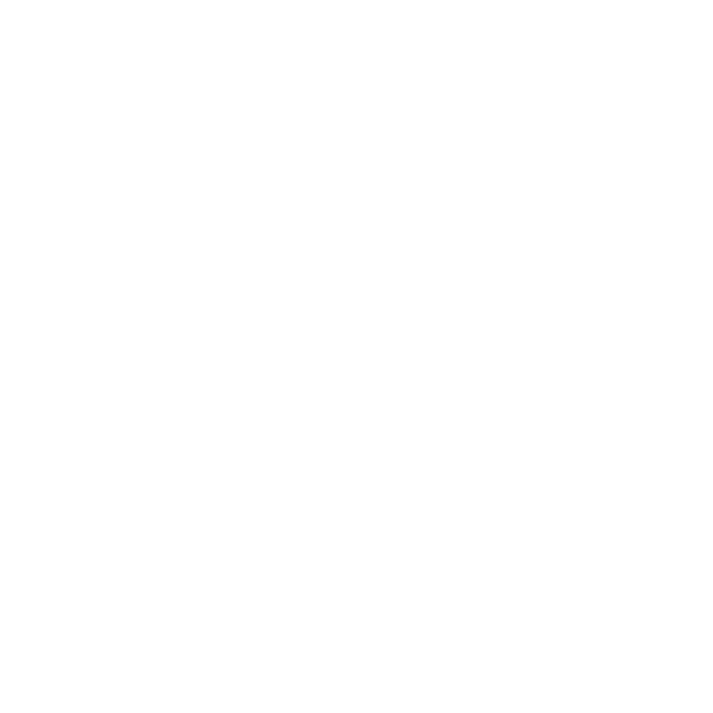 Night of Light